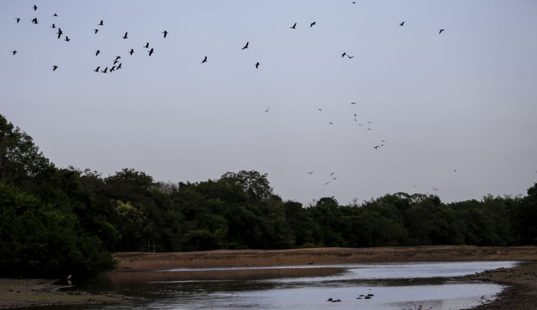 Casanare Casanare
