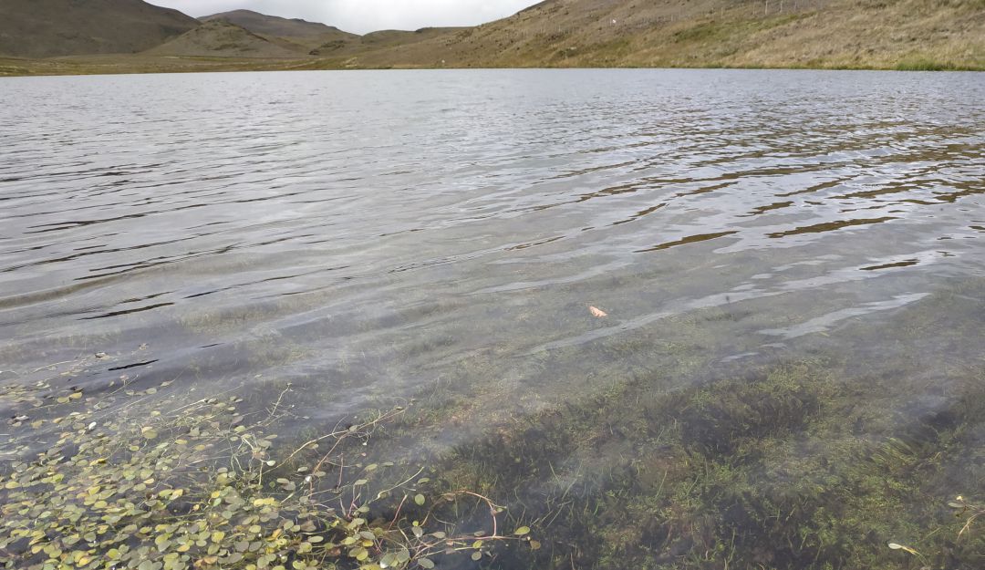 El agua de Santurbán llega a más de 1,5 millones de habitantes de los santanderes El agua de Santurbán llega a más de 1,5 millones de habitantes de los santanderes