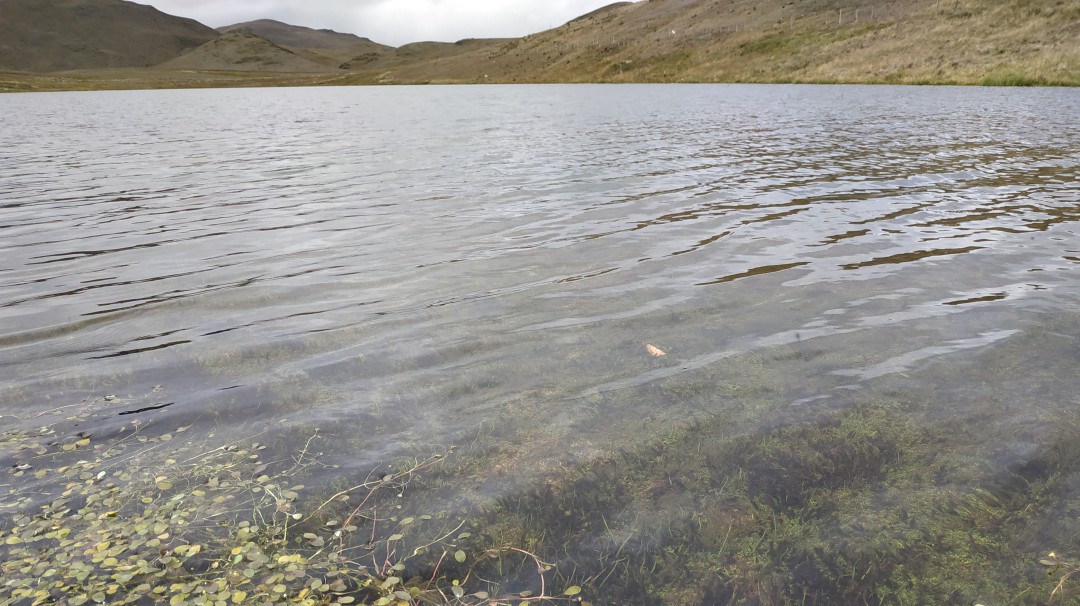 Naturaleza al límite: la verdadera cara del páramo de Santurbán