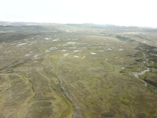En las 142.608 hectáreas del páramo de Santurbán habitan más de 700 especies de plantas y animales En las 142.608 hectáreas del páramo de Santurbán habitan más de 700 especies de plantas y animales