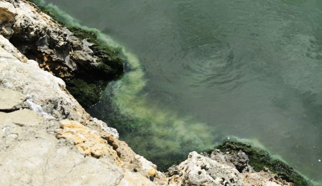 Se encontraron unos tubos que presuntamente estarían arrojando desechos contaminantes a este cuerpo de agua Se encontraron unos tubos que presuntamente estarían arrojando desechos contaminantes a este cuerpo de agua