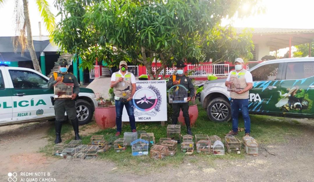 En mercado de Bazurto se logró la incautación de 24 aves En mercado de Bazurto se logró la incautación de 24 aves