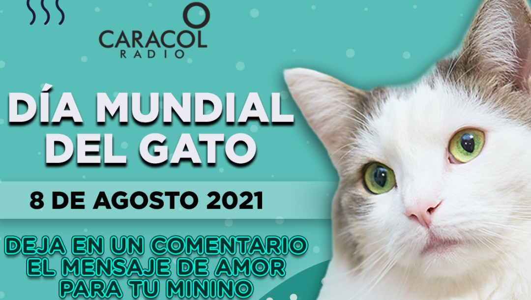 Escuche el programa Mascotas Caracol 07 de agosto