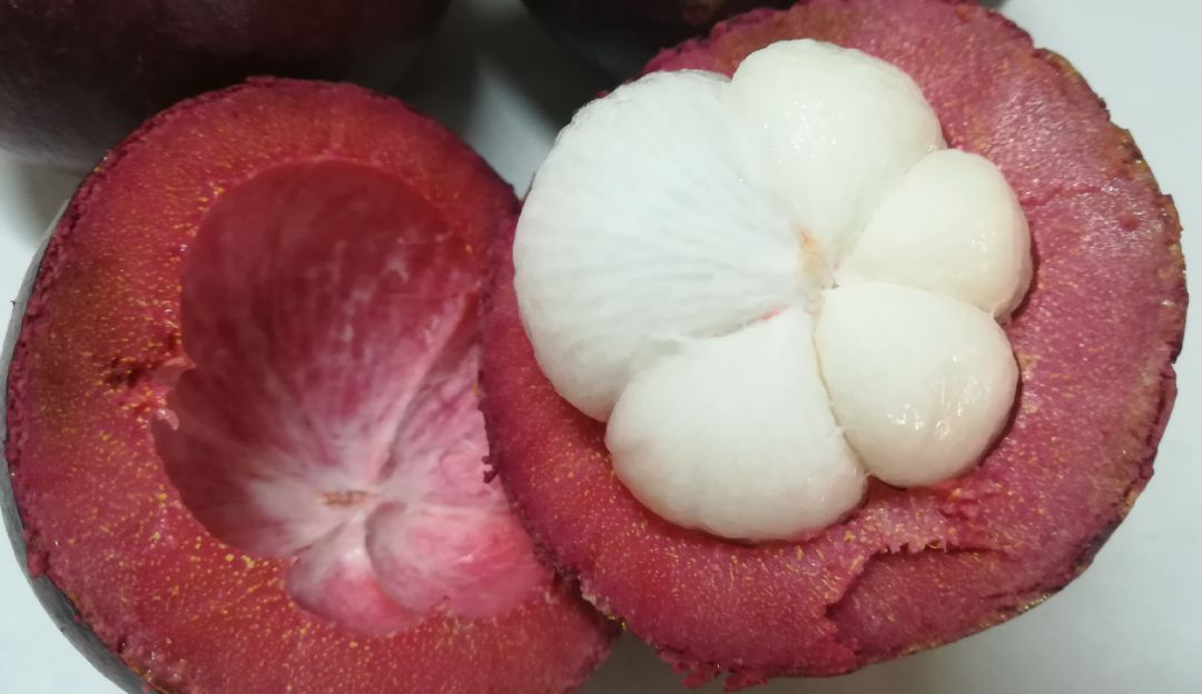 Mangostino Mangostino