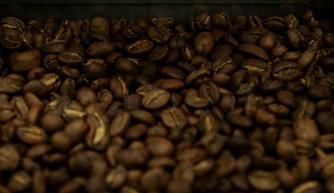 Granos de café Granos de café