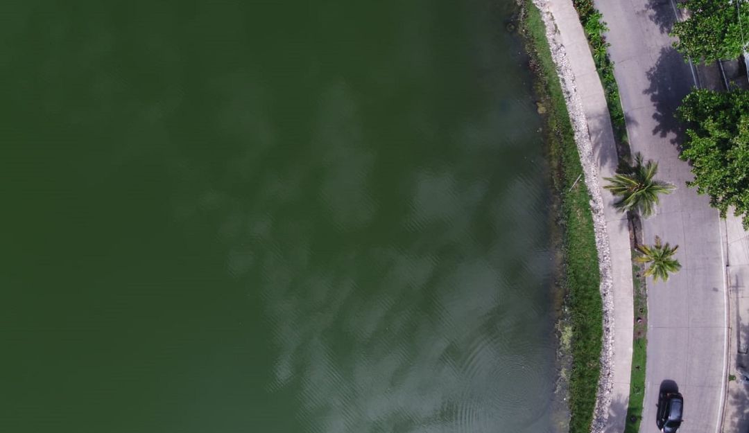 El Establecimiento Público Ambiental procederá a verificar y hacer la desinstalación de las tuberías que descargan en este cuerpo de agua El Establecimiento Público Ambiental procederá a verificar y hacer la desinstalación de las tuberías que descargan en este cuerpo de agua