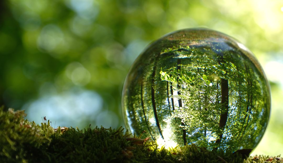 Cambio climático Cambio climático