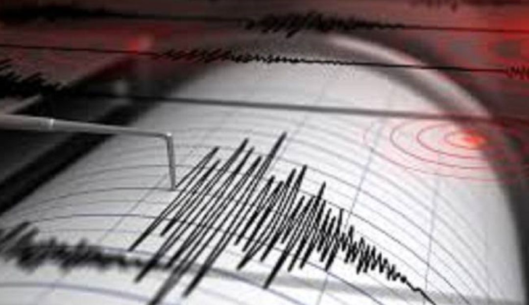 El sismo no ocasionó daños o personas lesionadas. El sismo no ocasionó daños o personas lesionadas.