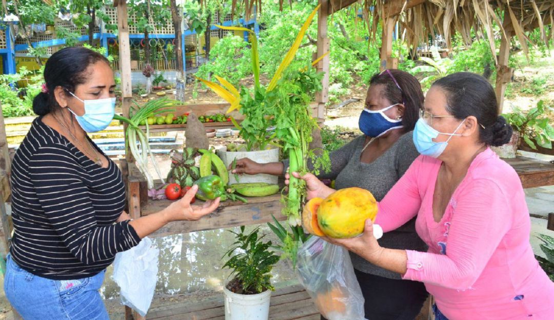 Productos frescos, de calidad y a bajo costo como ñame, plátano y arroz se ofrecerán en el taller Jesús Maestro Productos frescos, de calidad y a bajo costo como ñame, plátano y arroz se ofrecerán en el taller Jesús Maestro