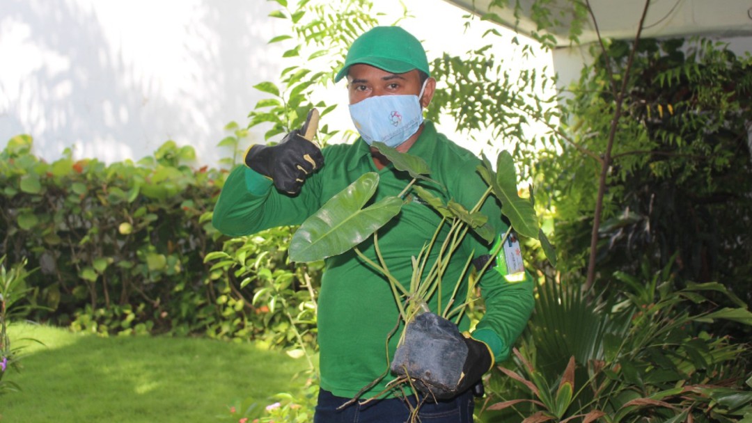 Sena Bolívar certificó a 23 jardineros en Cartagena
