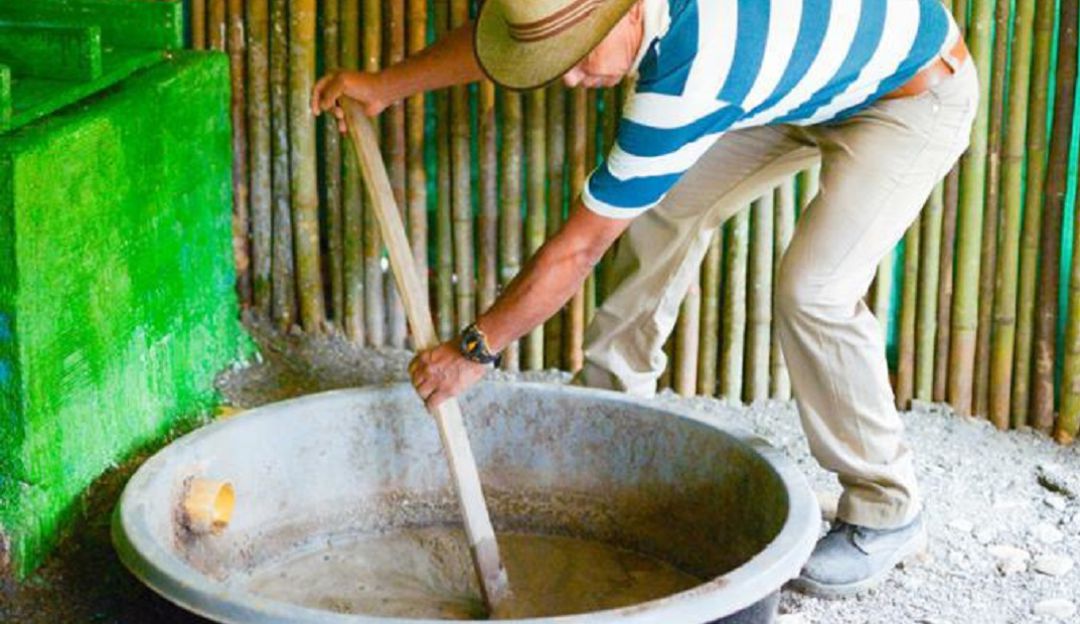 Biodigestores en la zona rural de Ibagué Biodigestores en la zona rural de Ibagué