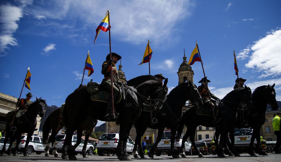 Proyecto de ley prohibiría a Fuerza Pública usar animales durante protestas Proyecto de ley prohibiría a Fuerza Pública usar animales durante protestas