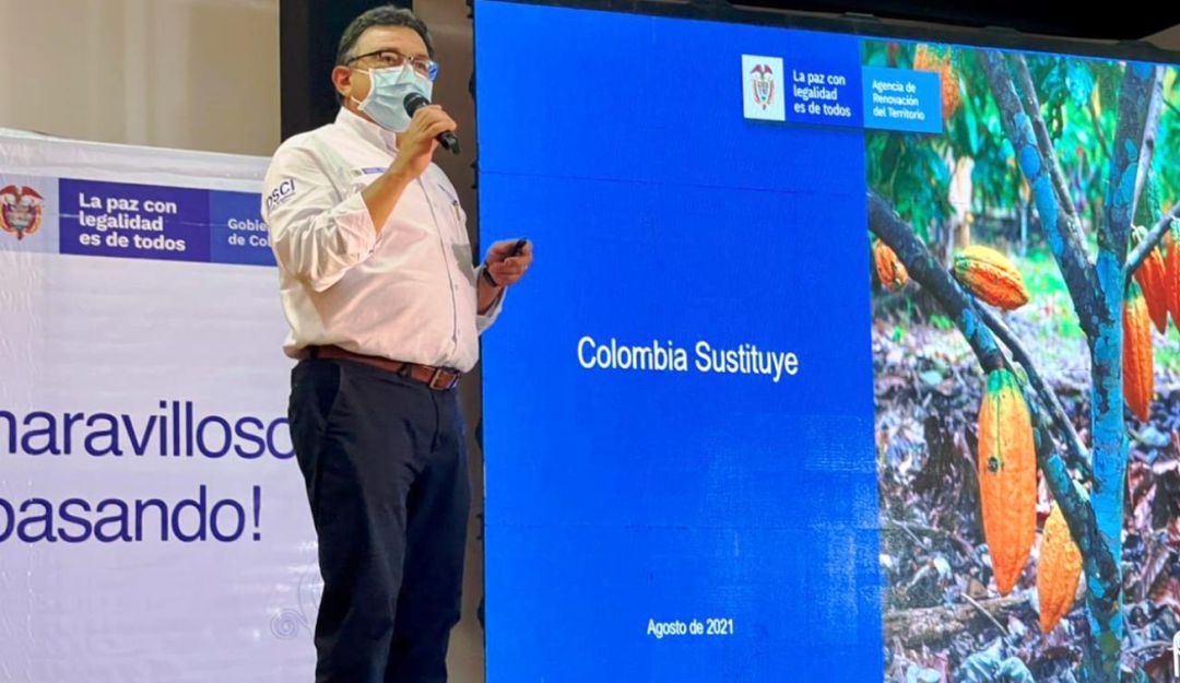 200 hectáreas de coca son sustituidas por cacao y plátano en el sur de Bolívar 200 hectáreas de coca son sustituidas por cacao y plátano en el sur de Bolívar