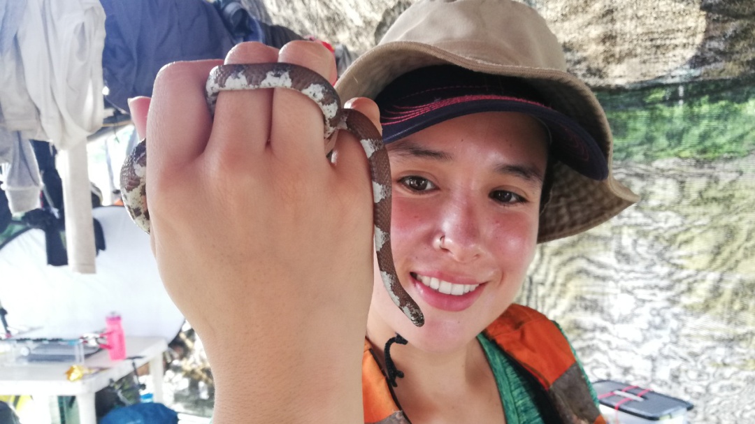 Aprendiendo sobre serpientes: ¿Qué tanto conocemos de estos reptiles?