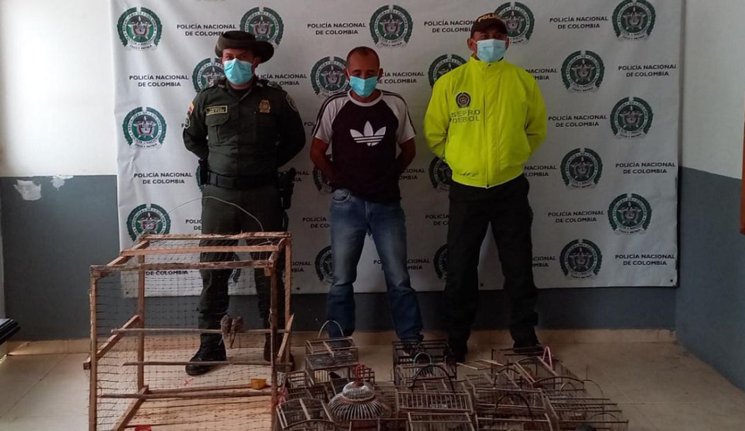 Según las investigaciones, este hombre venía cazando y comercializando los animales en los Montes de María Según las investigaciones, este hombre venía cazando y comercializando los animales en los Montes de María