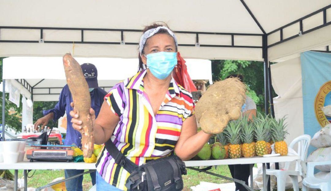 Cerca de 20 campesinos participan con una gran variedad de productos de la canasta familiar a precios más económicos y sin intermediarios. Cerca de 20 campesinos participan con una gran variedad de productos de la canasta familiar a precios más económicos y sin intermediarios.