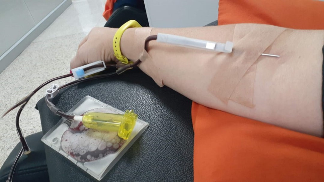 Manizales requiere con urgencia que donen sangre