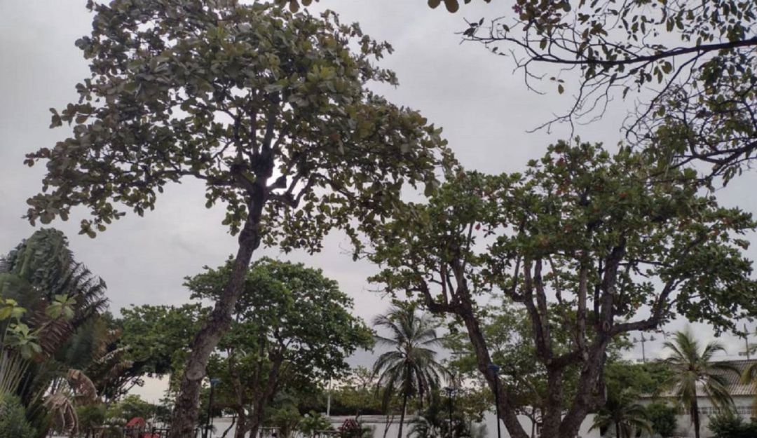 Mientras tanto, el EPA Cartagena seguirá con su competencia de control y vigilancia en materia ambiental Mientras tanto, el EPA Cartagena seguirá con su competencia de control y vigilancia en materia ambiental