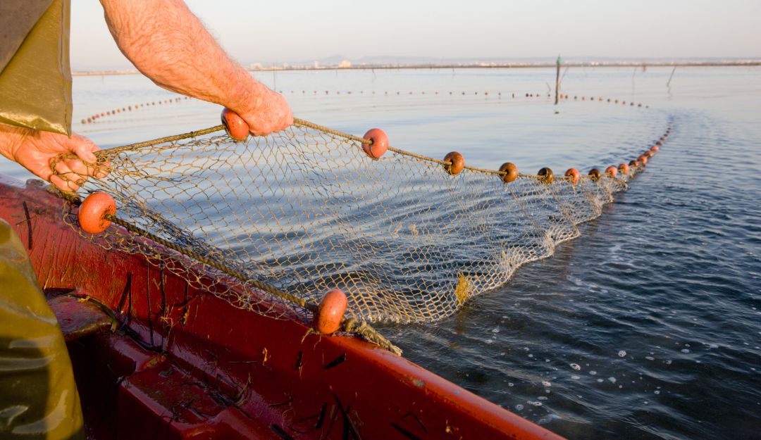 Pesca. Pesca.