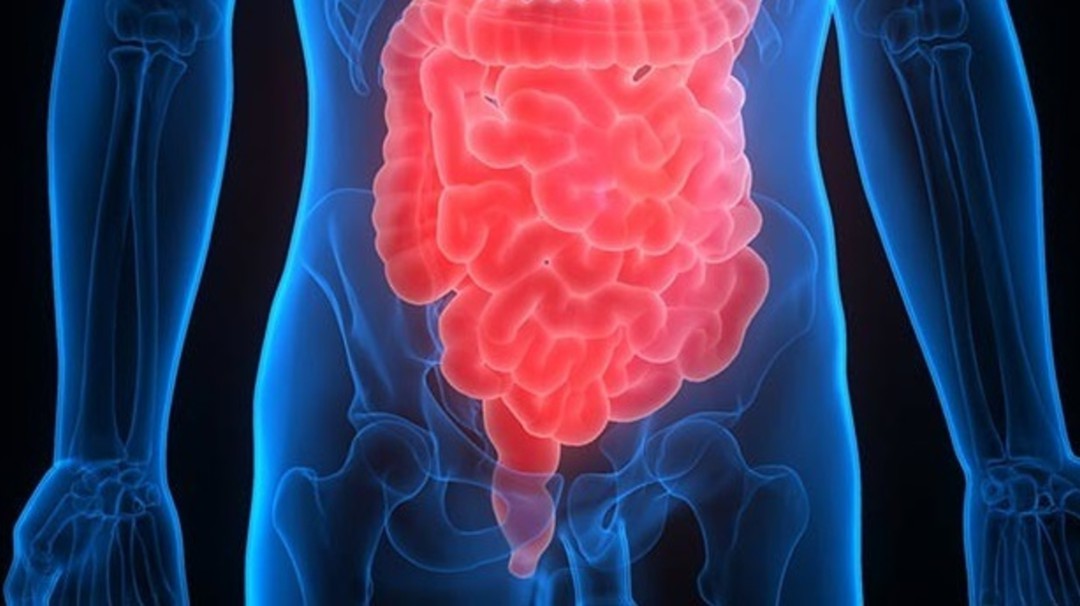 Estudio afirma que los antibióticos aumentan el riesgo de cáncer de colon
