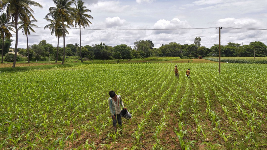 Trabajando por fertilizantes más amigables con el medio ambiente