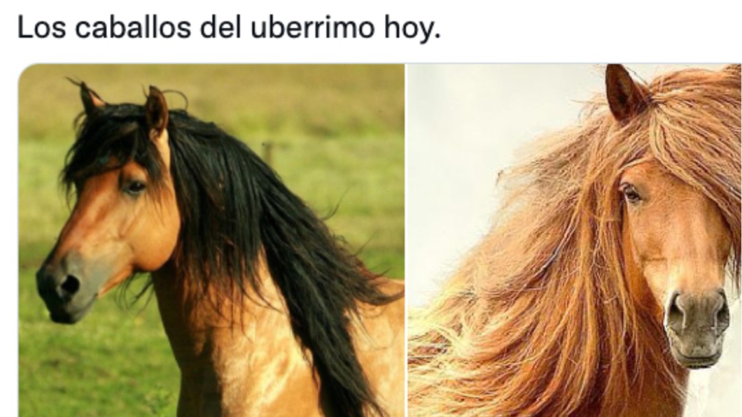 Epa Colombia y Álvaro Uribe: los mejores memes de este encuentro