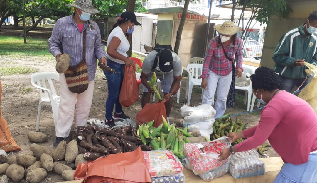 Los agricultores se sumaron con varios productos que cultivan en sus fincas Los agricultores se sumaron con varios productos que cultivan en sus fincas