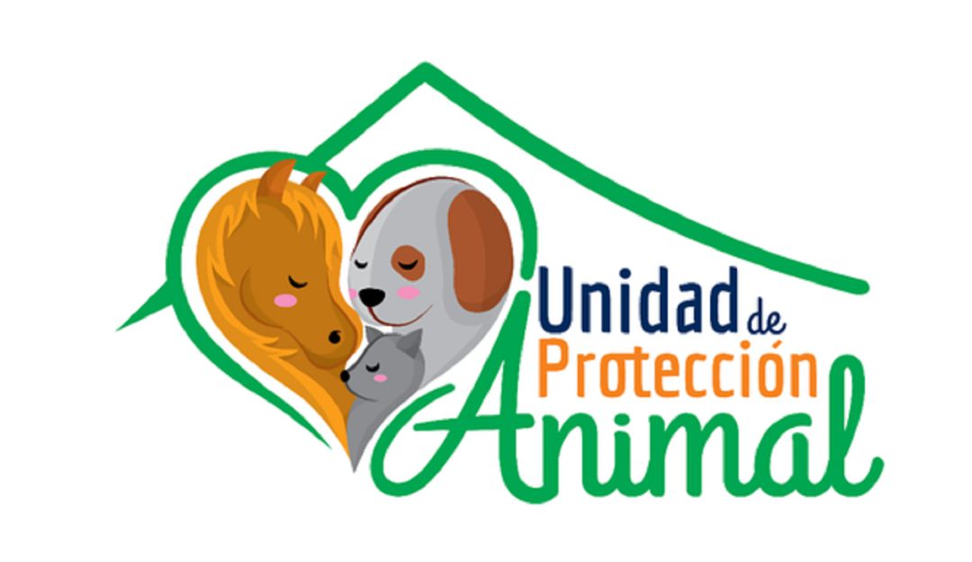 Denuncia Denuncia