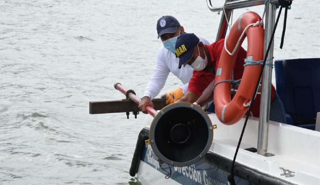 Este trabajo permitirá entender por qué estos ecosistemas se han preservado en un escenario con condiciones atípicas. Este trabajo permitirá entender por qué estos ecosistemas se han preservado en un escenario con condiciones atípicas.