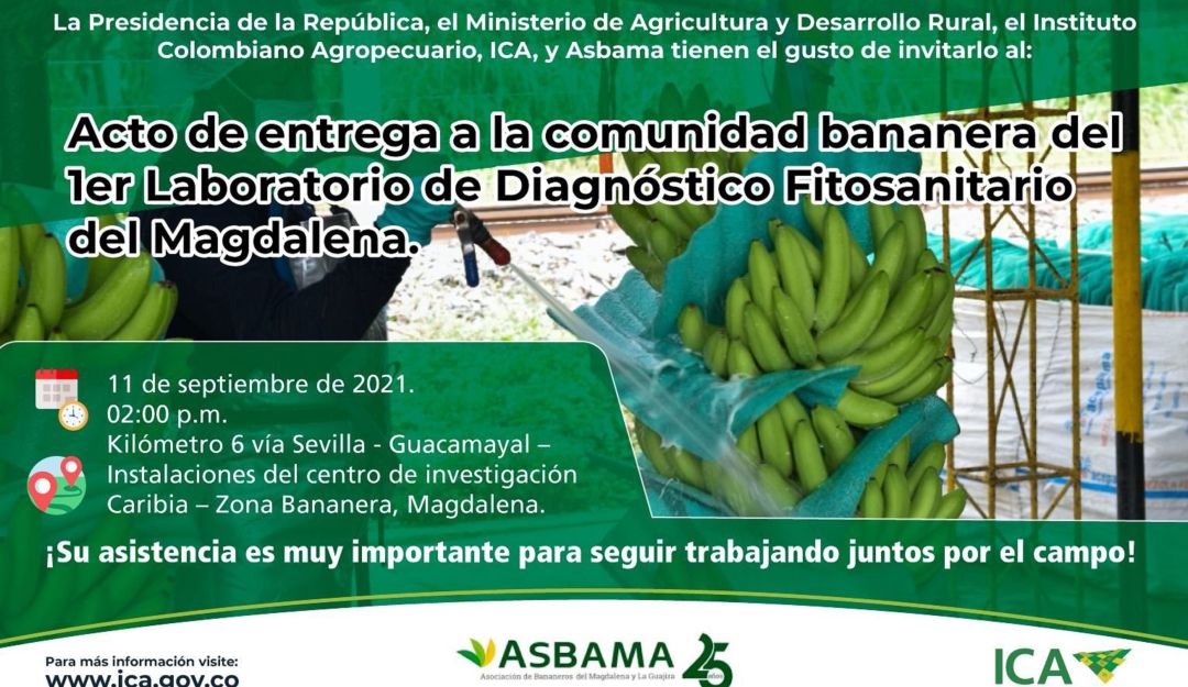 Visitas del presidente de Colombia: Duque visitará al Magdalena para inaugurar el laboratorio anti Fusarium Visitas del presidente de Colombia: Duque visitará al Magdalena para inaugurar el laboratorio anti Fusarium
