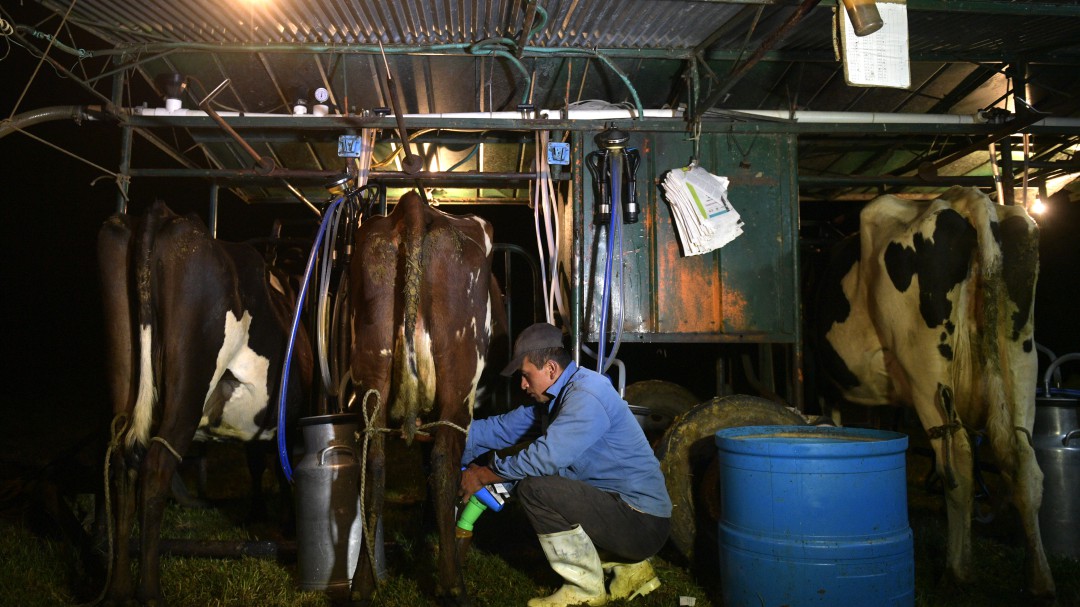 A tomar más leche invita Analac en sus 65 años