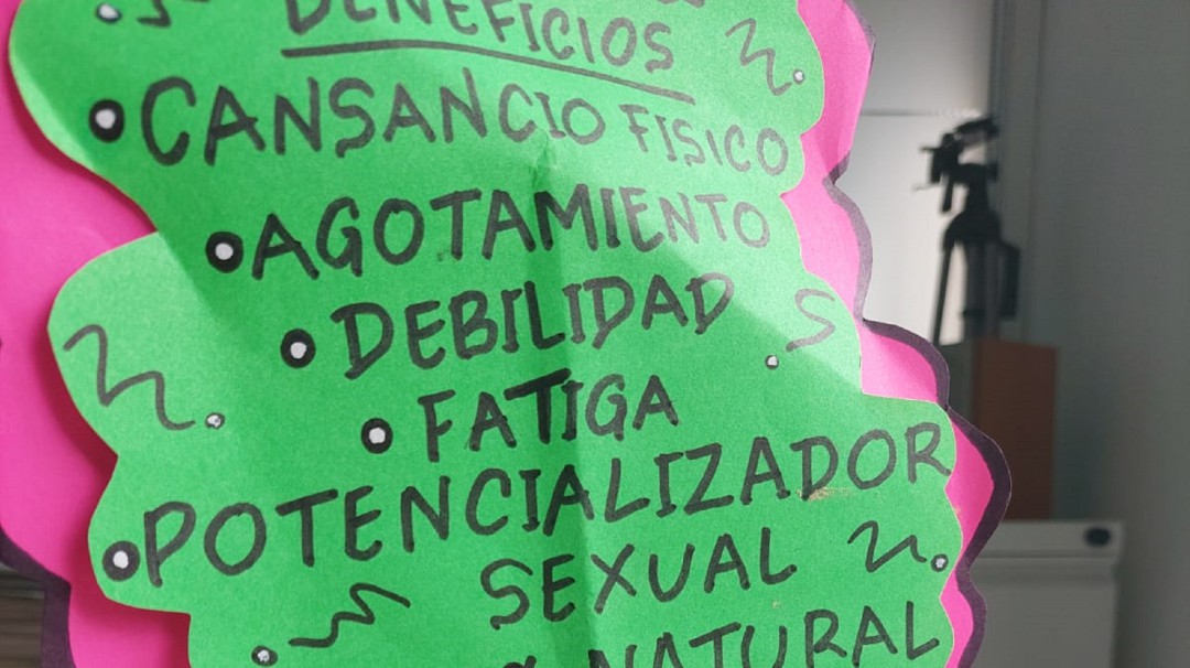 Alerta por productos con registro alimenticio que venden como terapéuticos