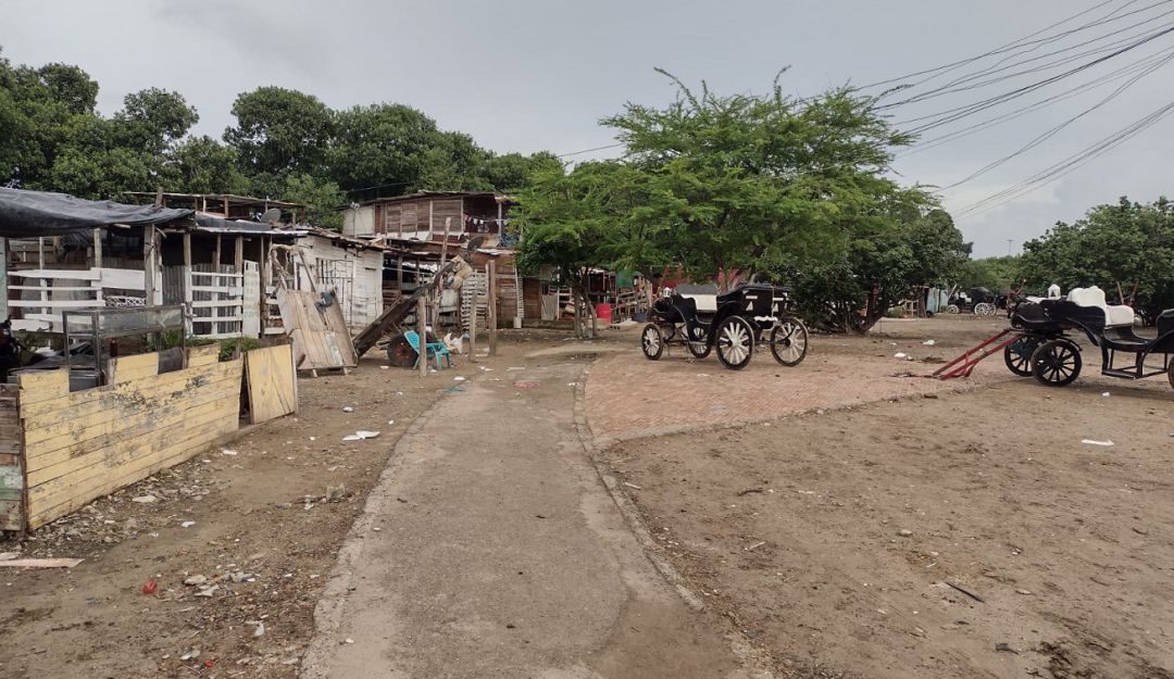 Habitantes de Chambacú consideran que se trata de una distracción para no atender la problemática social que hay de fondo Habitantes de Chambacú consideran que se trata de una distracción para no atender la problemática social que hay de fondo