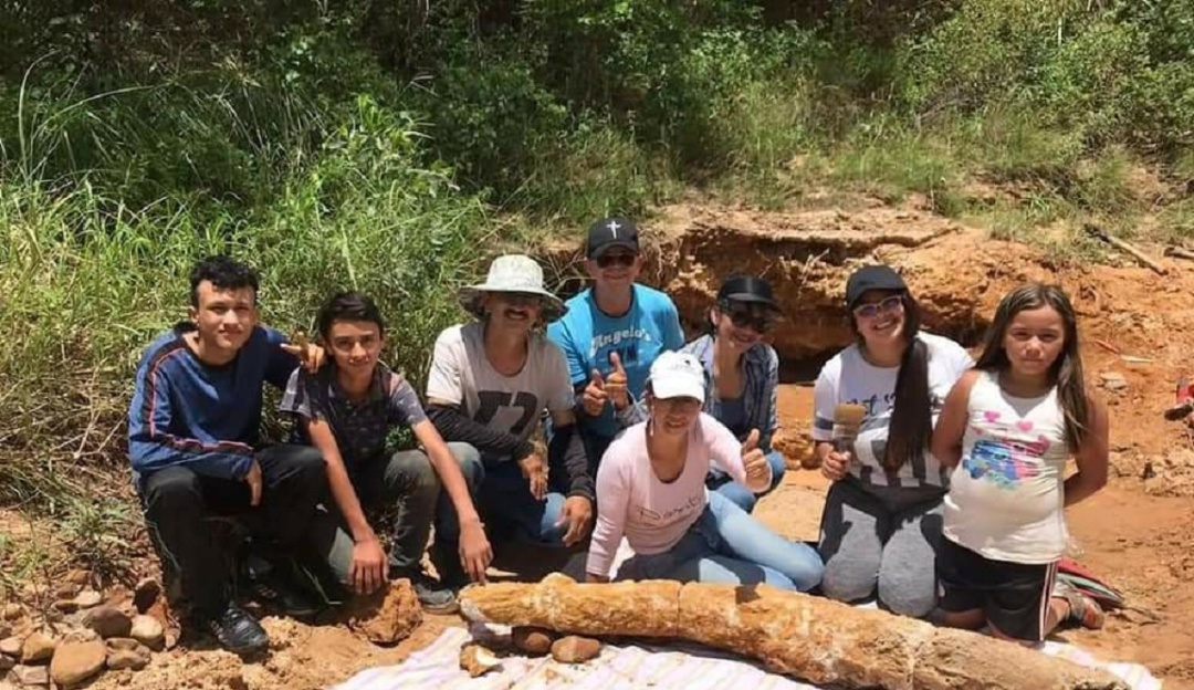 Colmillo de mastodonte encontrado en Los Patios Colmillo de mastodonte encontrado en Los Patios