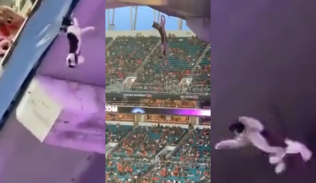 Gato salió ileso a una caída al vacío en el Hard Rock Stadium Gato salió ileso a una caída al vacío en el Hard Rock Stadium