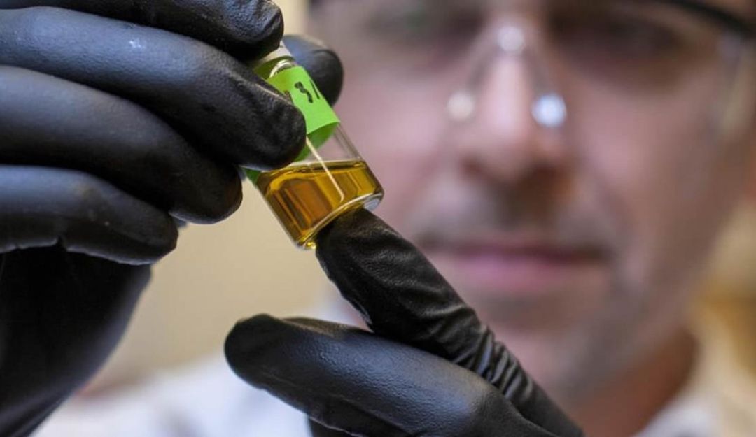 Este evento reúne a la industria del Cannabis nacional e internacional. La feria tiene como objetivo crear oportunidades de negocio Este evento reúne a la industria del Cannabis nacional e internacional. La feria tiene como objetivo crear oportunidades de negocio