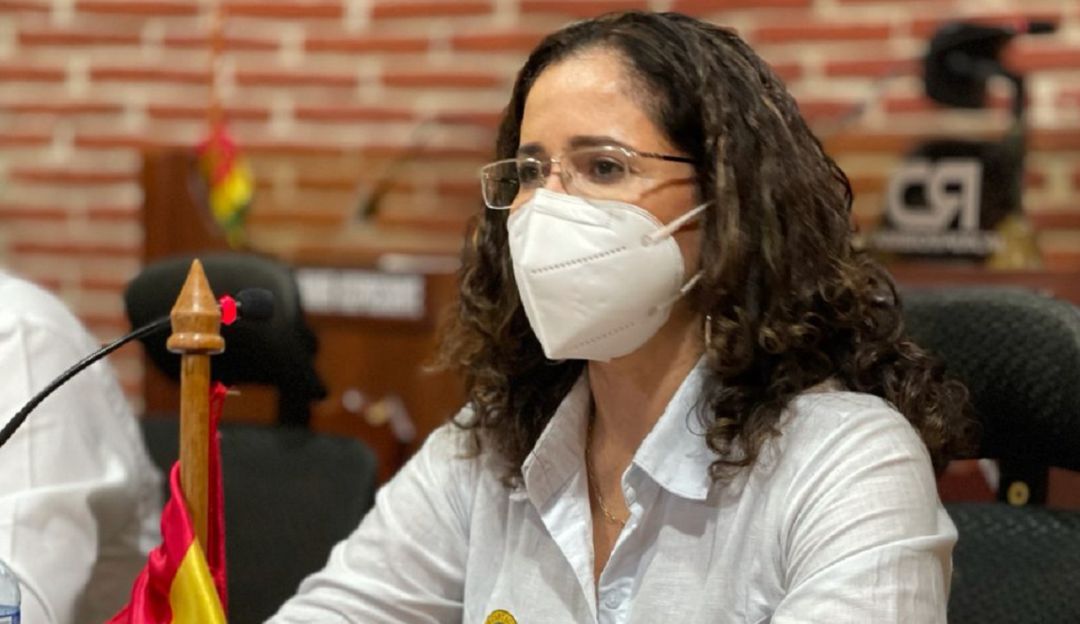 La secretaria de Hacienda, Diana Villalba Vallejo, expuso en el Concejo Distrital los proyectos durante la audiencia pública La secretaria de Hacienda, Diana Villalba Vallejo, expuso en el Concejo Distrital los proyectos durante la audiencia pública