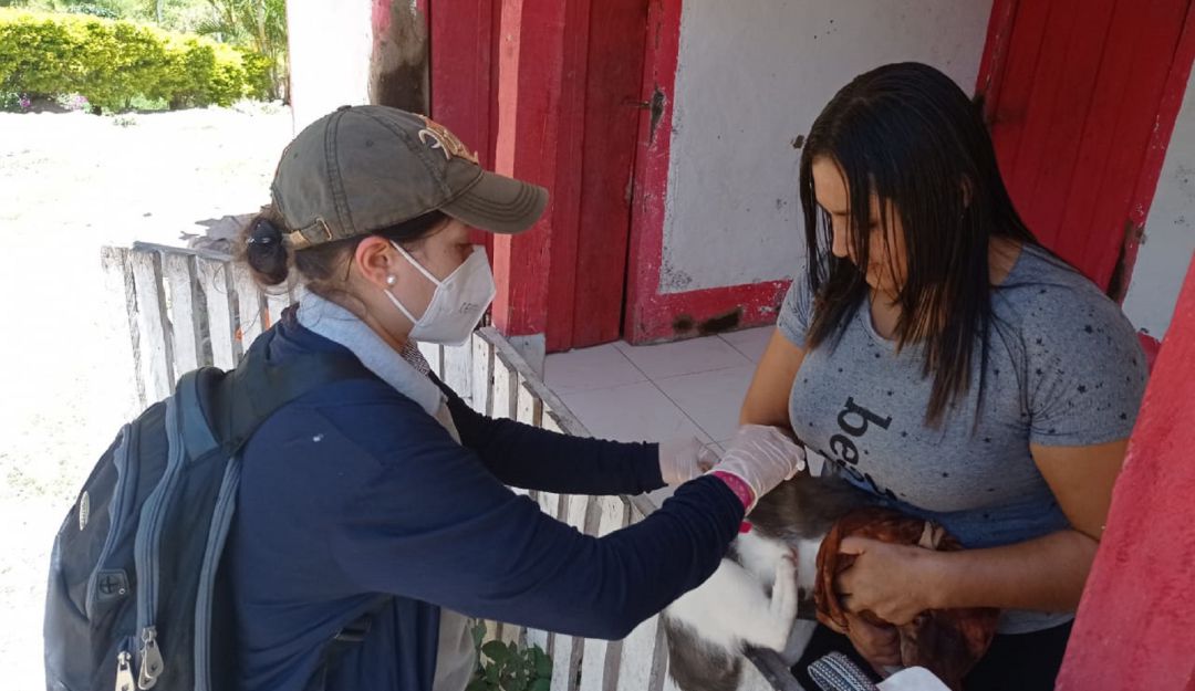 Autoridades de salud hacen seguimiento a casos de rabia humana. Autoridades de salud hacen seguimiento a casos de rabia humana.