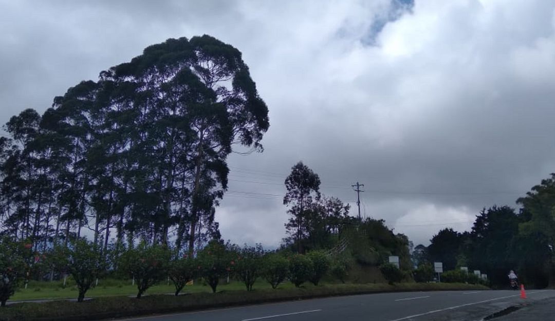 Vía Armenia-Pereira Vía Armenia-Pereira