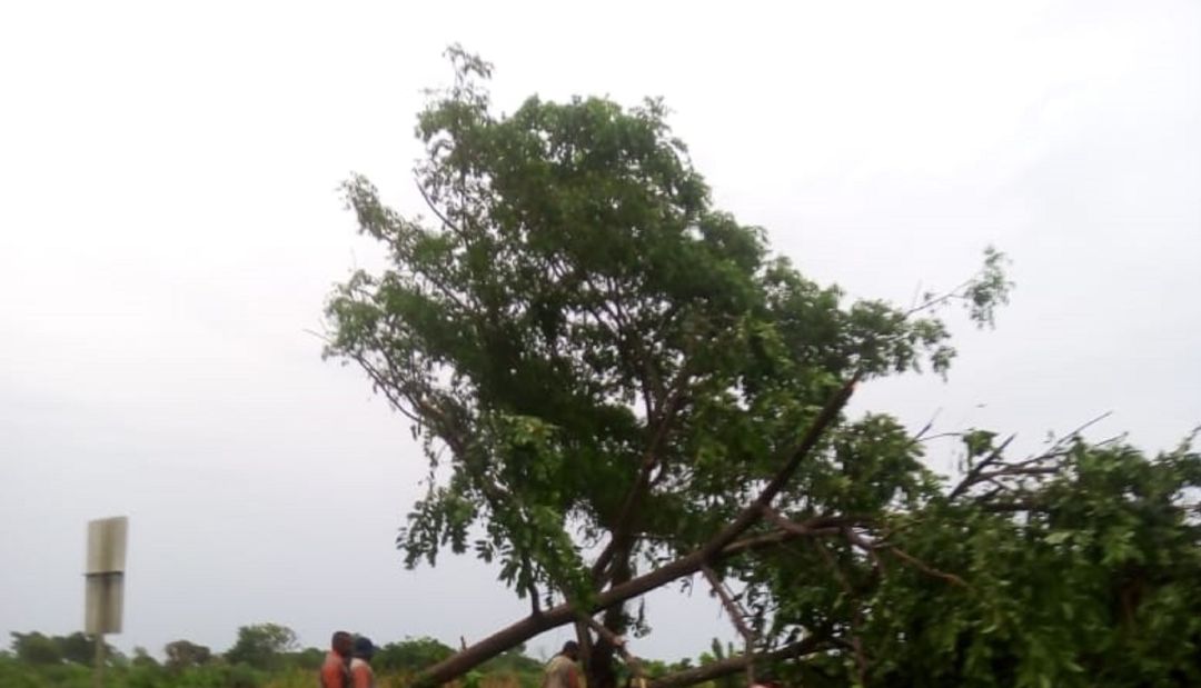 Las lluvias afectan el servicio de energía en 7 municipios de Sucre Las lluvias afectan el servicio de energía en 7 municipios de Sucre