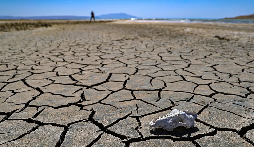 Cambio climático Cambio climático