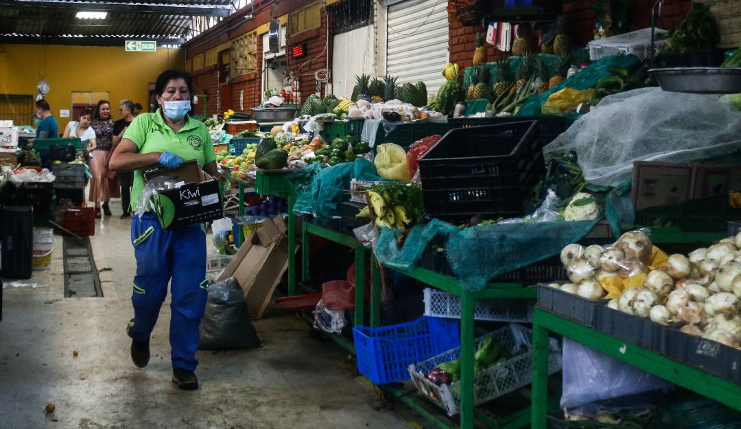 Procuraduría pide el buen funcionamiento de las plazas de mercado Procuraduría pide el buen funcionamiento de las plazas de mercado