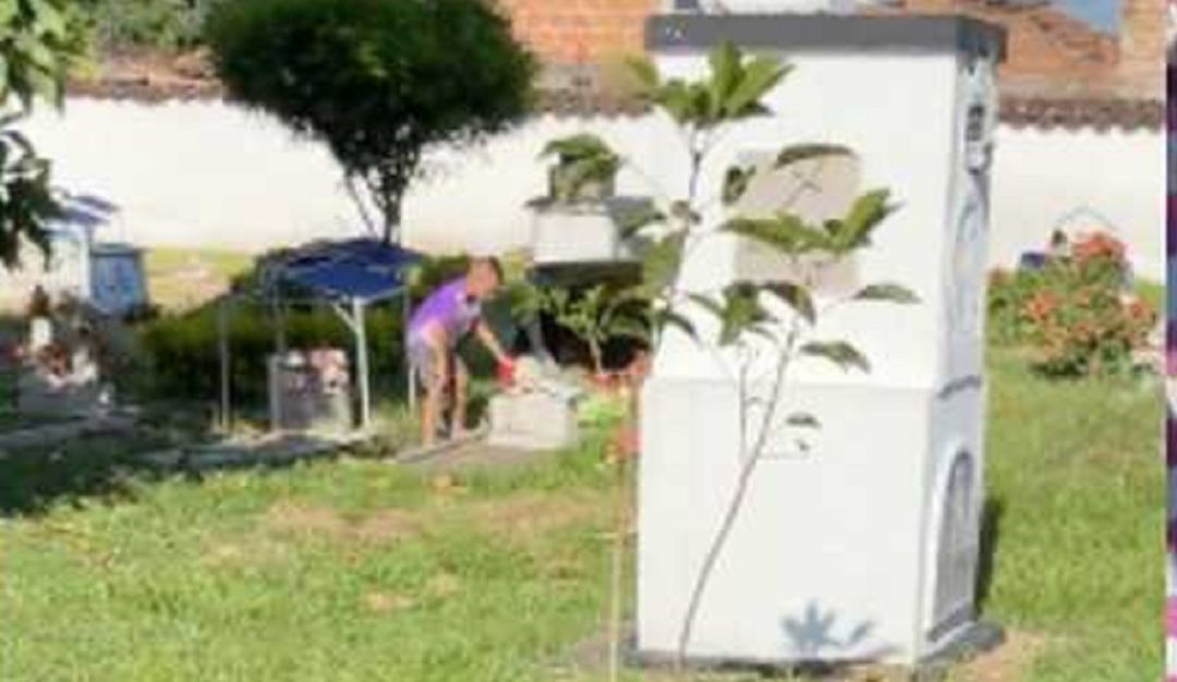 autoridades del municipio de Toro corroboraron que en el cementerio no había cambuches ni juguetes ni objetos, como supuestamente se revelaba en el video. autoridades del municipio de Toro corroboraron que en el cementerio no había cambuches ni juguetes ni objetos, como supuestamente se revelaba en el video.