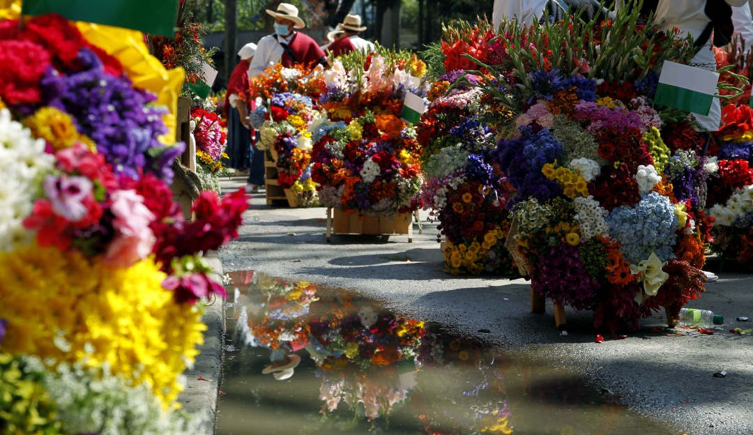 Venta de flores en Colombia Venta de flores en Colombia