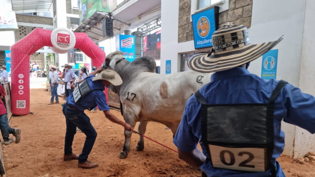 Más de 25 mil personas entraron a la feria ganadera