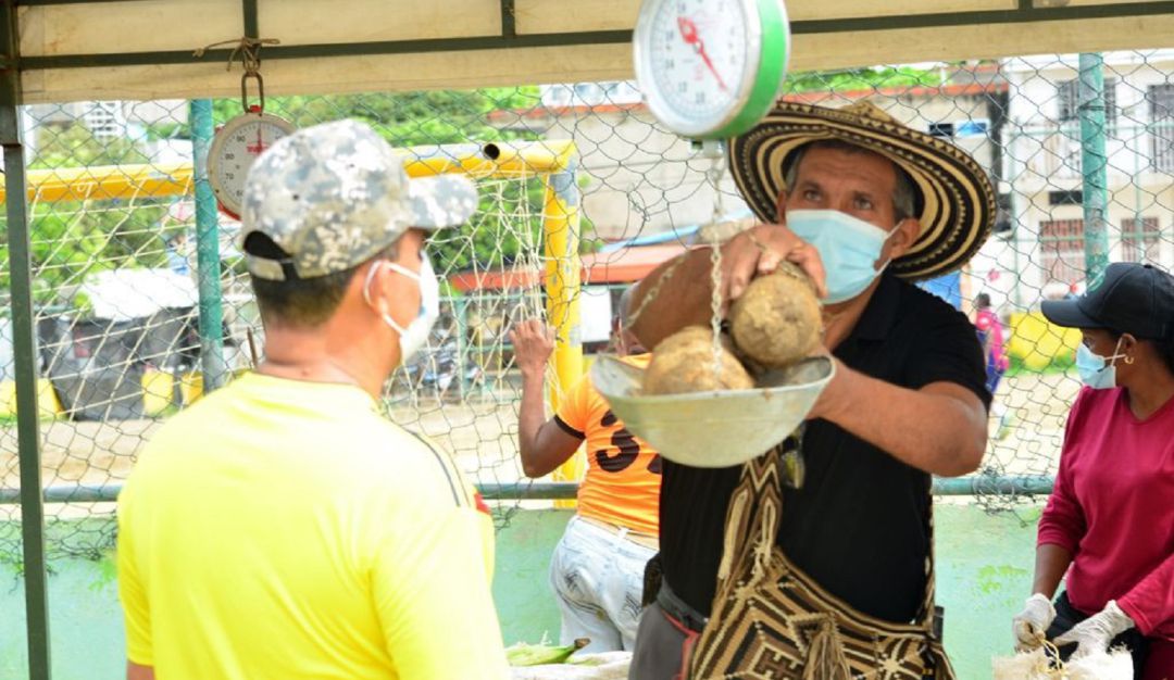 Más de 600 personas del sector y barrios aledaños surtieron sus canastas familiares con alimentos comercializados sin intermediarios Más de 600 personas del sector y barrios aledaños surtieron sus canastas familiares con alimentos comercializados sin intermediarios