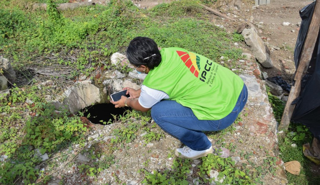 En la avenida de El Bosque se produjo el más importante hallazgo arqueológico de la última década en la capital de Bolívar En la avenida de El Bosque se produjo el más importante hallazgo arqueológico de la última década en la capital de Bolívar