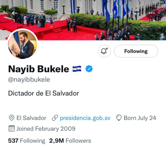 Captura de pantalla del perfil de Nayib Bukele Captura de pantalla del perfil de Nayib Bukele