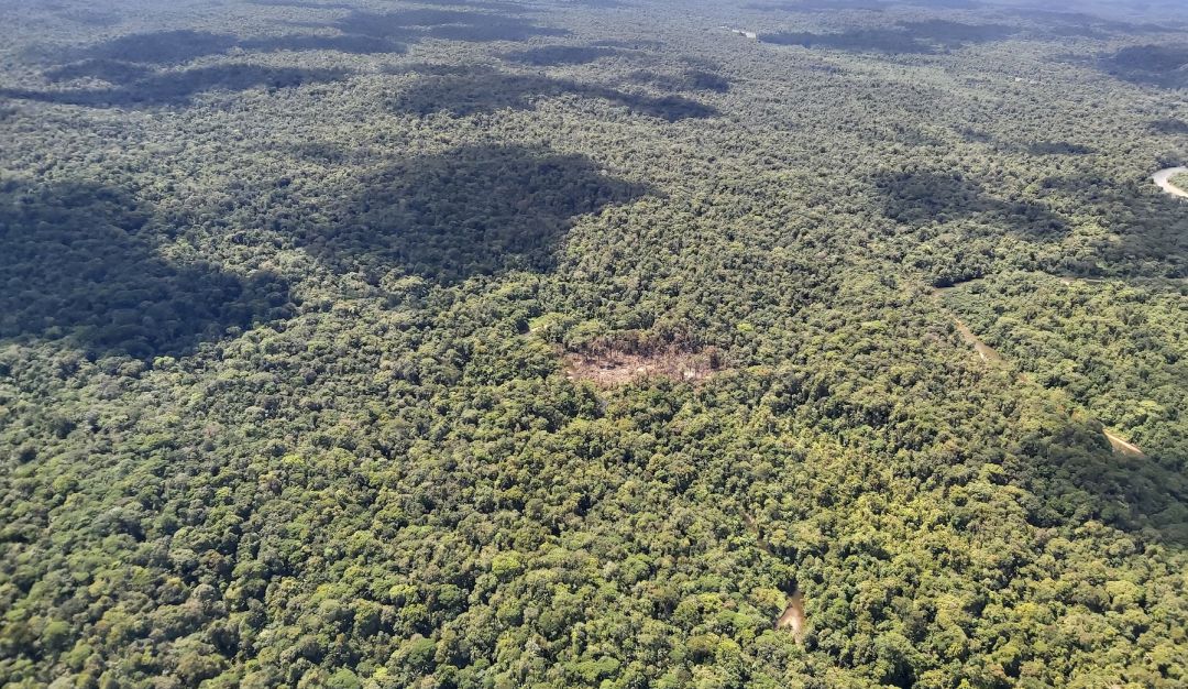 Así quedó el campamento de alias 'Fabián' tras bombardeo en Chocó Así quedó el campamento de alias 'Fabián' tras bombardeo en Chocó