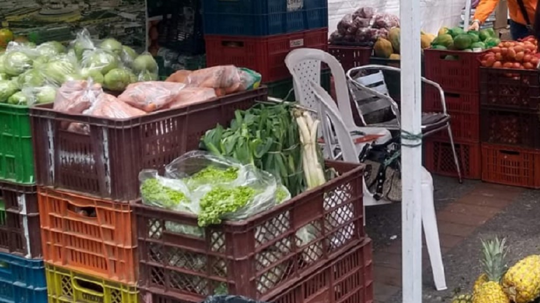 Dignidad Agropecuaria propone implementar créditos de fomento por 3 años
